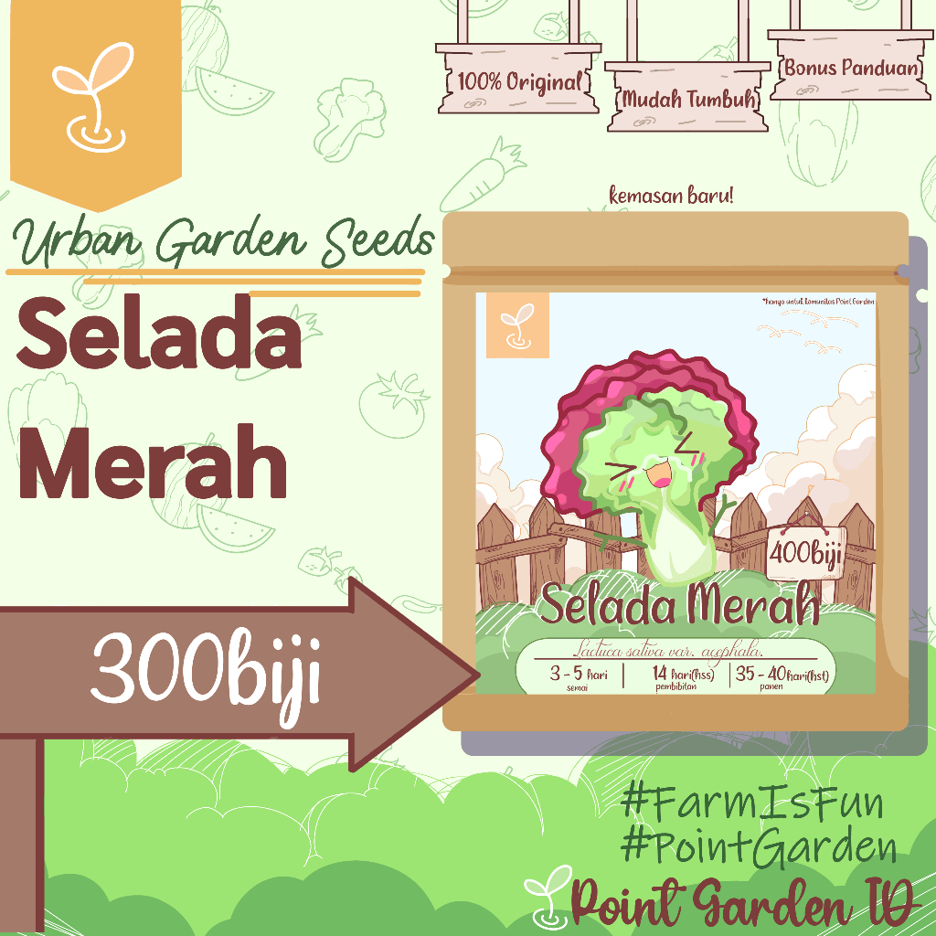 300 biji- Benih Bibit Selada Merah SUPER, Tahan Penyakit, Benih Unggul, Benih Seribuan