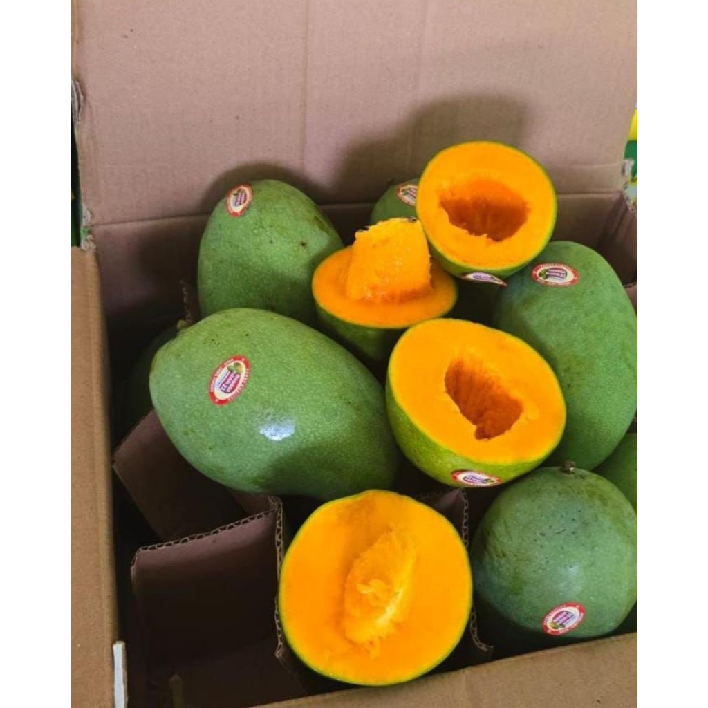 MANGGA ALPUKAT 1 DUS = 5 KG MANIS LEMBUT ASLI KLONAL 21 BANGIL