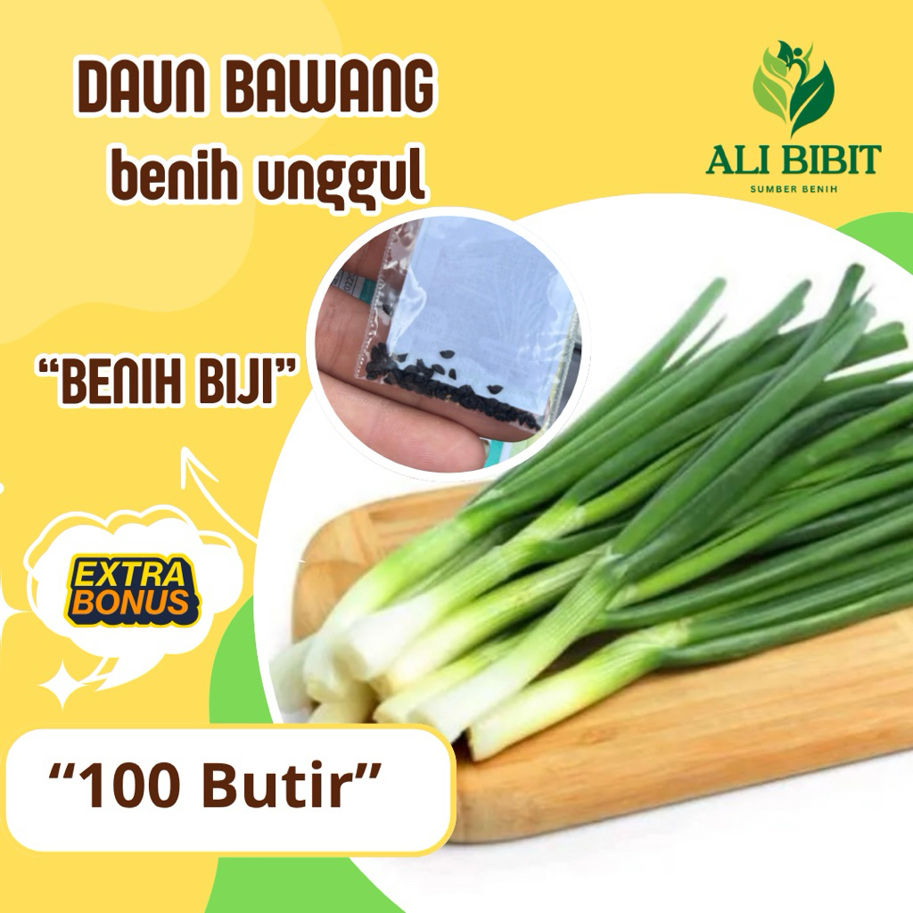 100  Butir > Benih Biji Daun Bawang> Bibit Daun Bawang>Bonus Benih