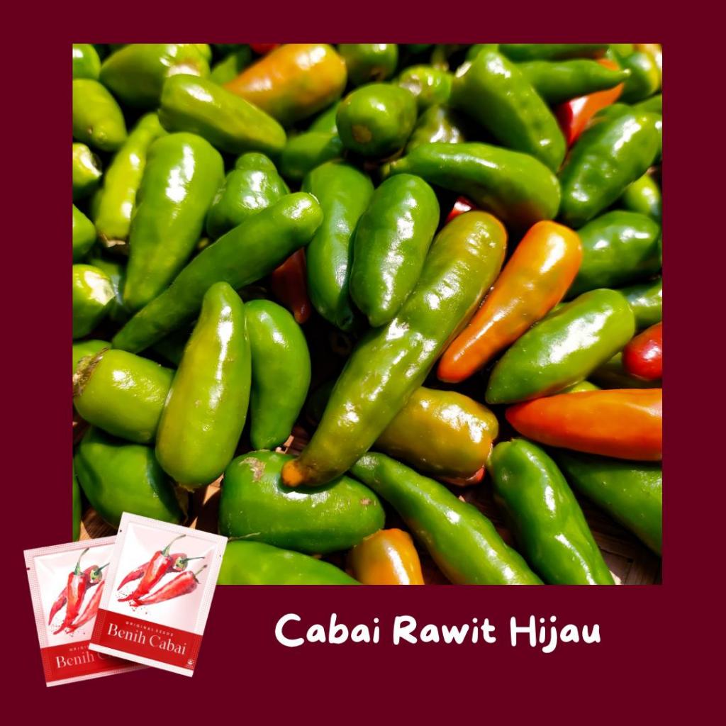Benih Cabe Rawit Hijau Beli1 Gratis1 Benih Bibit Biji Cabe Rawit Hijau Unggul Dan Tahan Virus