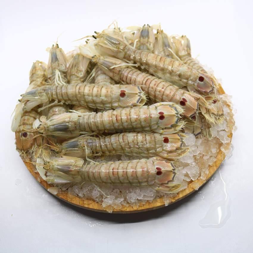 Udang 1Kg Udang Segar Udang Basah Segar Udang Ronggeng 1Kg Udang Ronggeng Segar Udang Mantis Shrimp