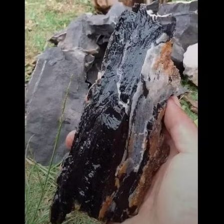 Batu black Fosil kayu aquarium Aquascape 1 kg