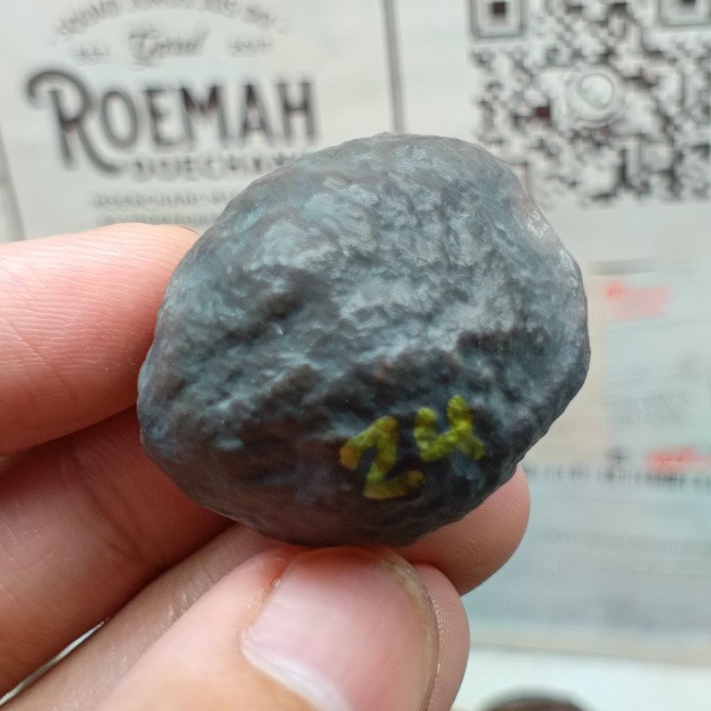 Muncang Adu Pait JR kode 24