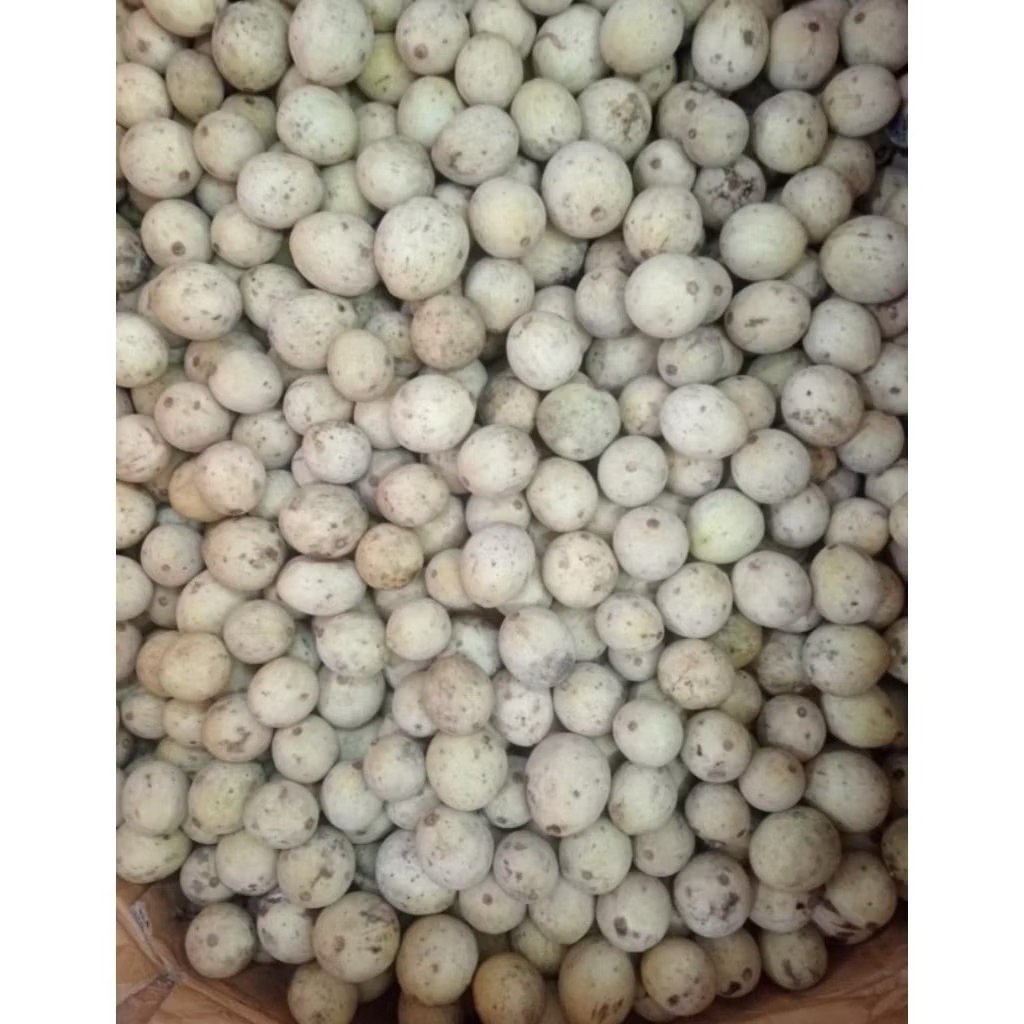 Buah Duku Manis Fresh 1kg