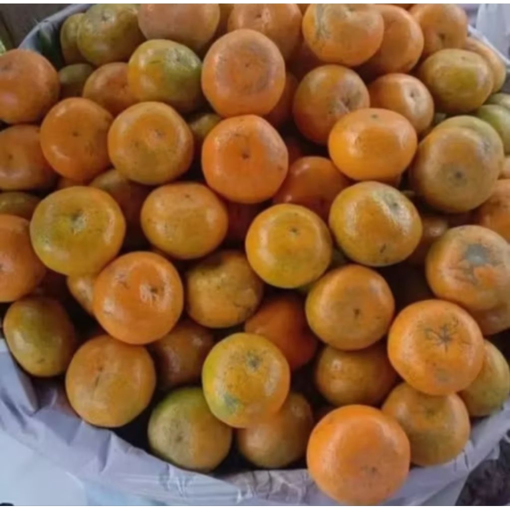 JERUK MEDAN 1 KERANJANG