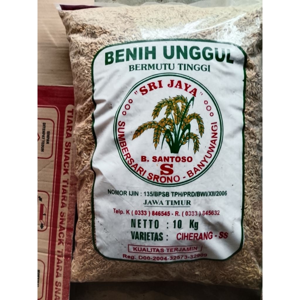 Bibit padi premium CIHERANG SS Santoso 10 kg Banyuwangi