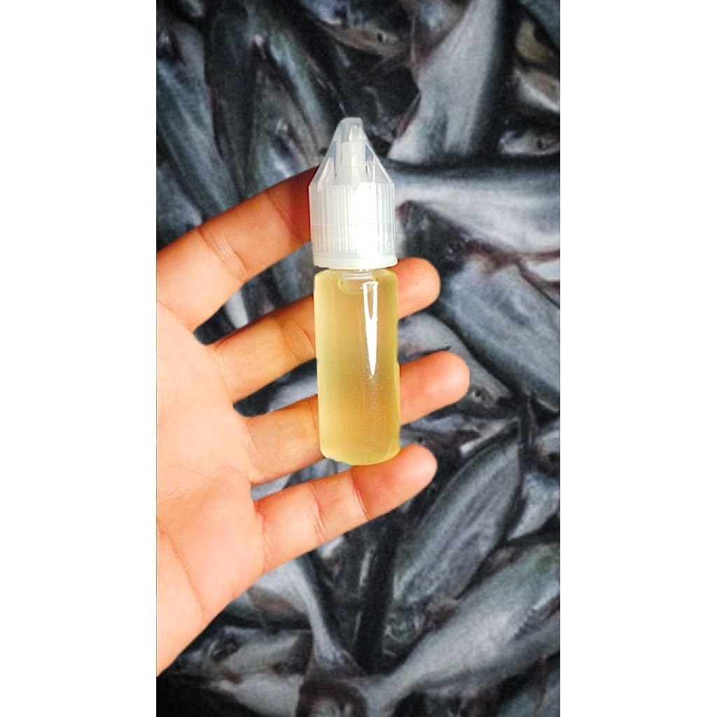 essen oplosan daging nangka kweni ( untuk ikan patin )