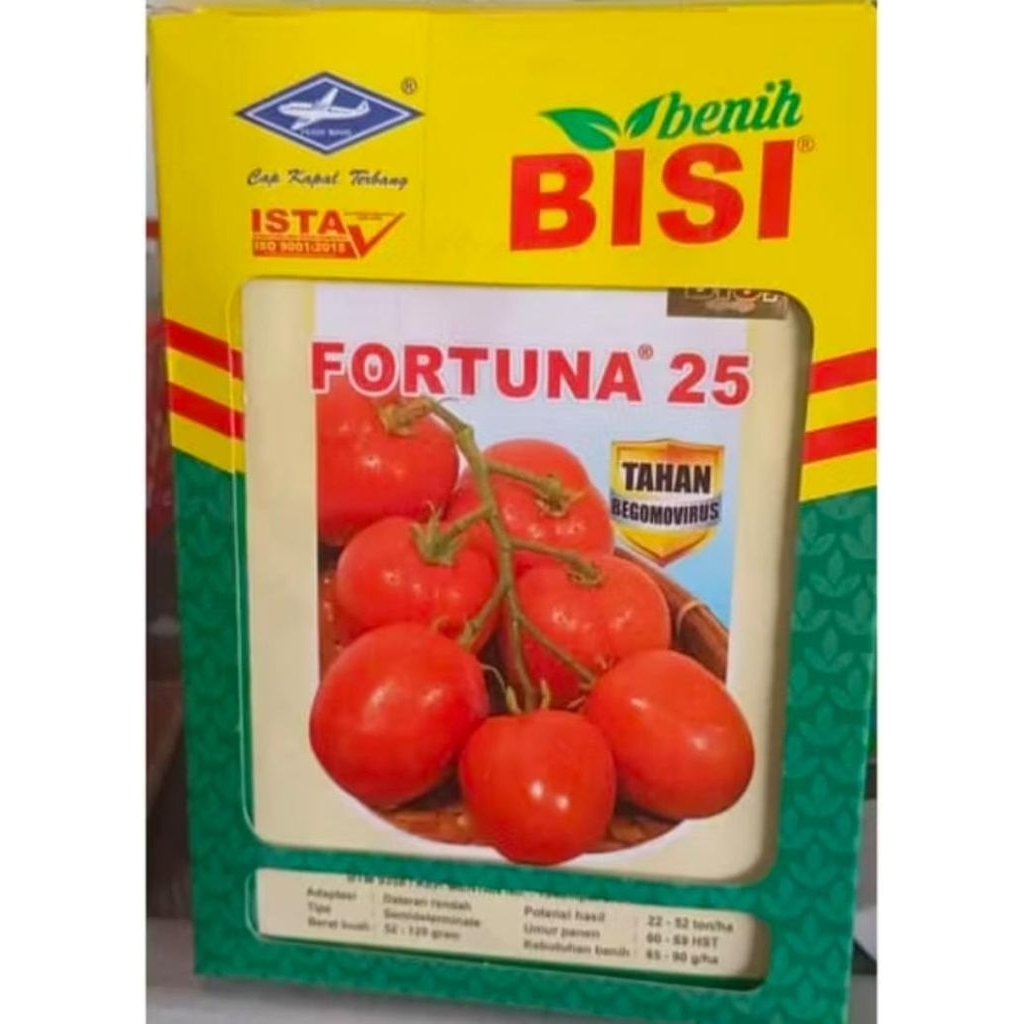 benih tomat Fortuna f1
