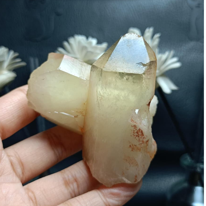 Natural Citrine Pointer Rough (4)