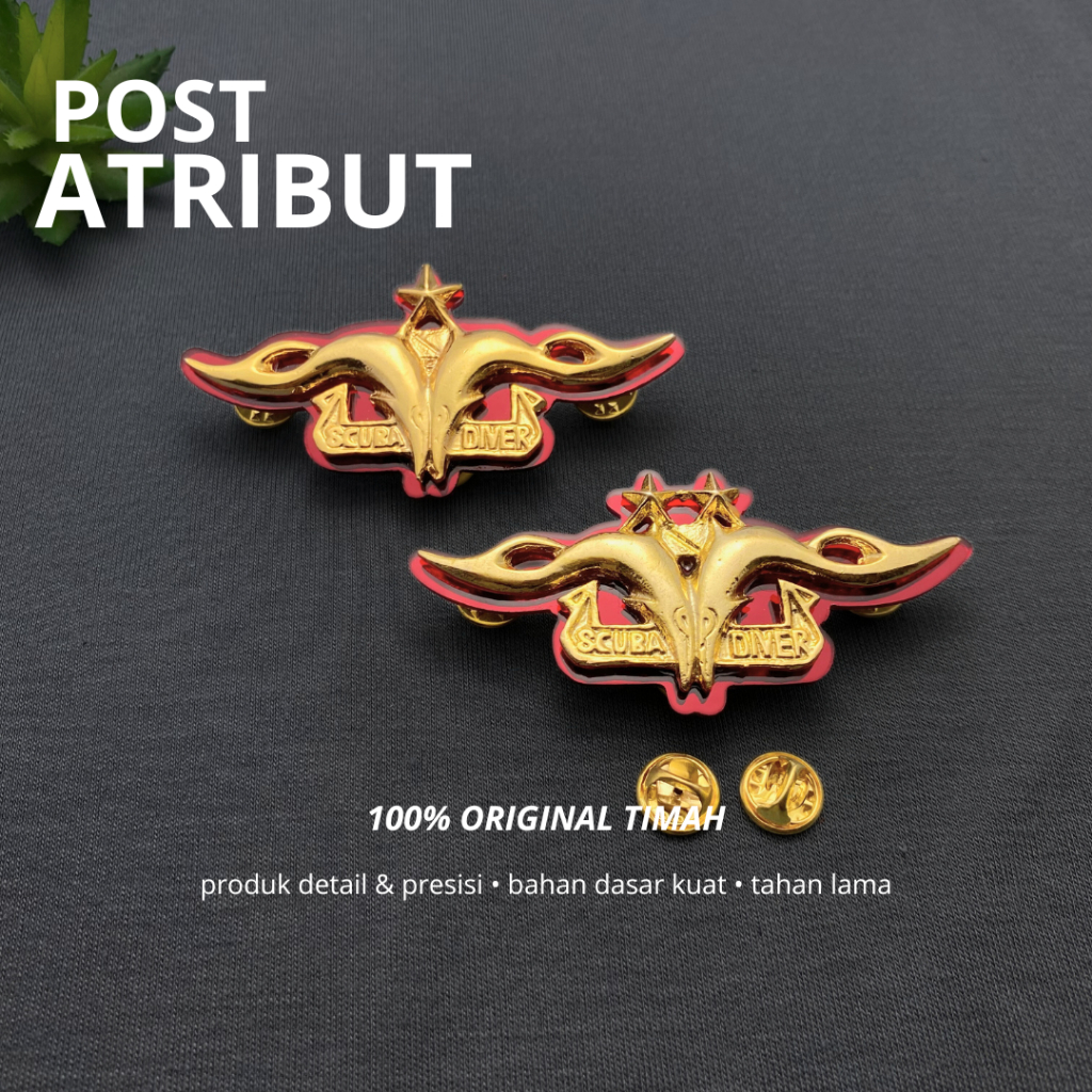 BrevetSCUBA / Brevet Scuba Diver AKIP