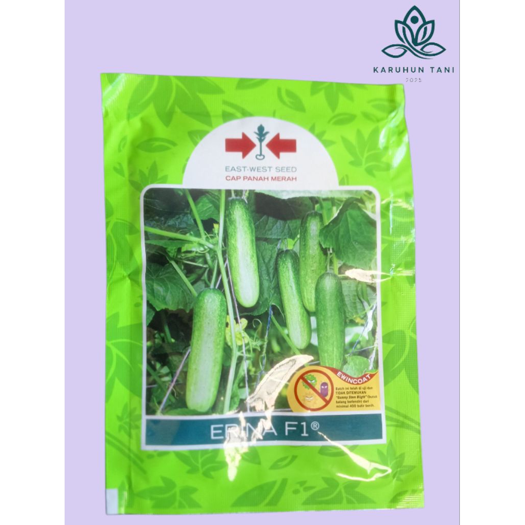 Benih Mentimun Erina F1 800 butir