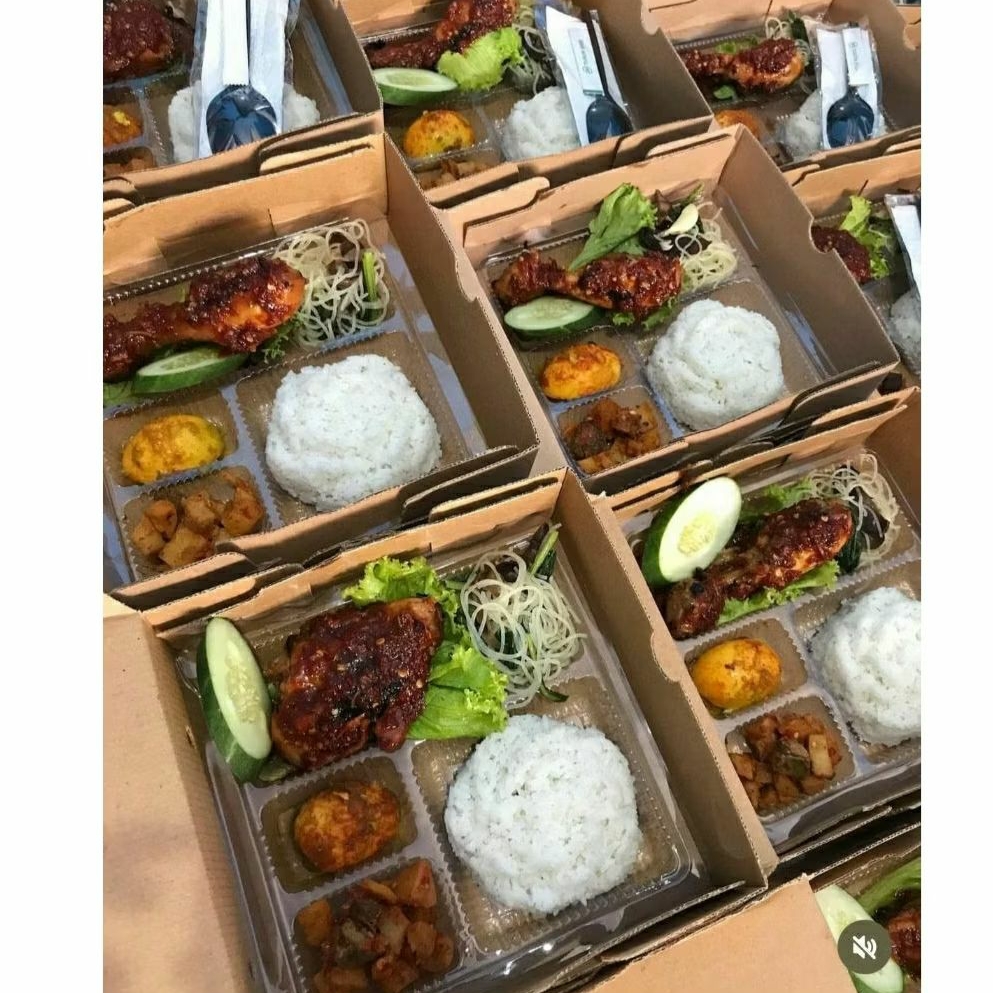 Paket Nasi Box Lengkap/Nasi Kotak Murah/Ayam Bakar Ayam Goreng