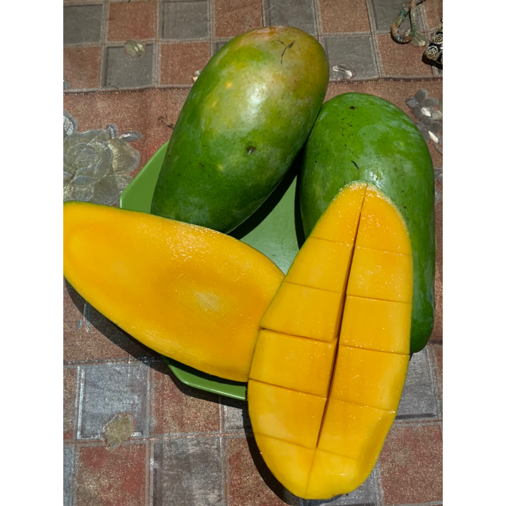 Mangga kiojay thailand