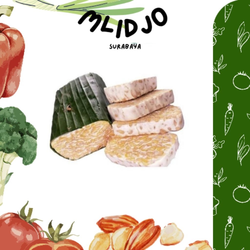 TEMPE KEDELAI TEMPE SEDANG