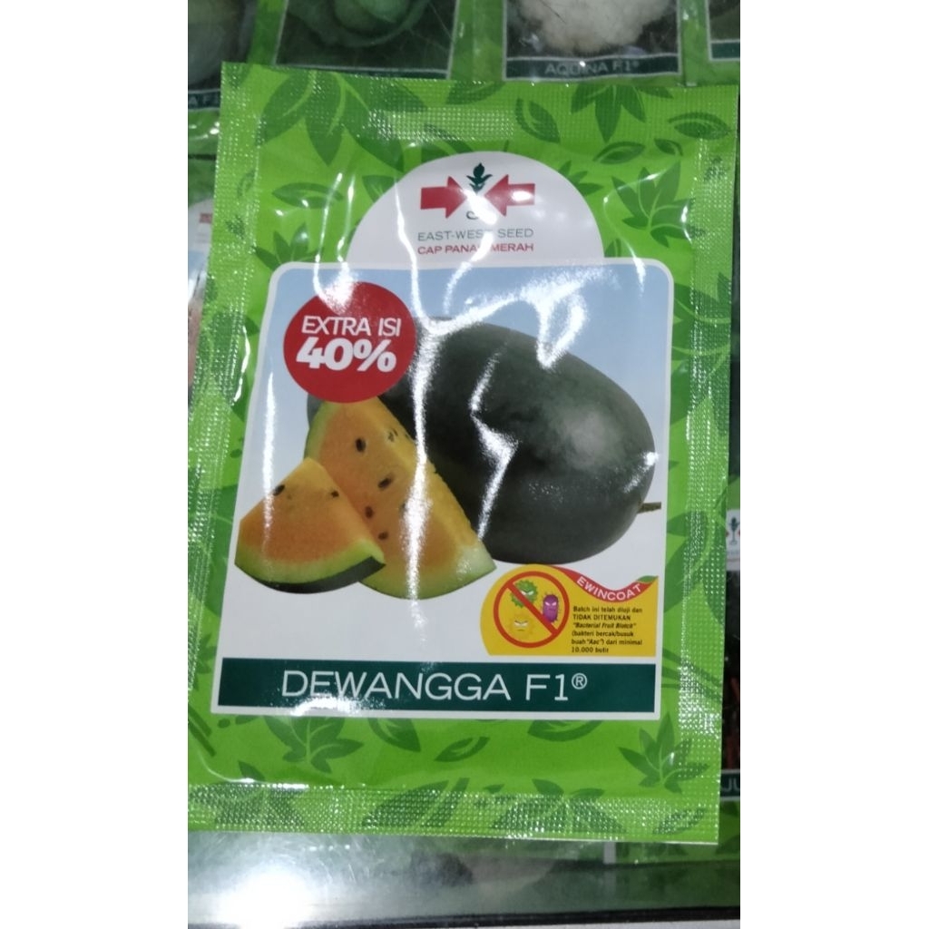 Benih Semangka kuning Dewangga F 1