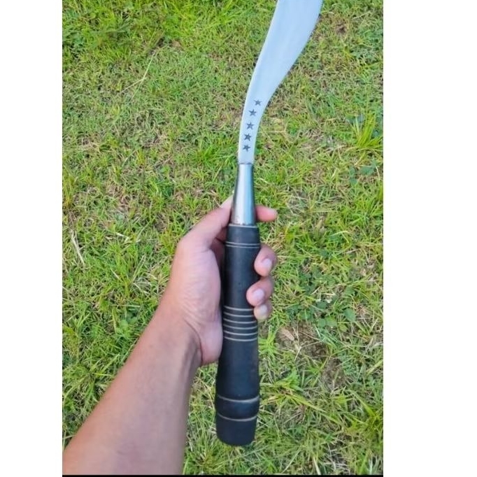 rumput laess panjang 50cm arit bintang5