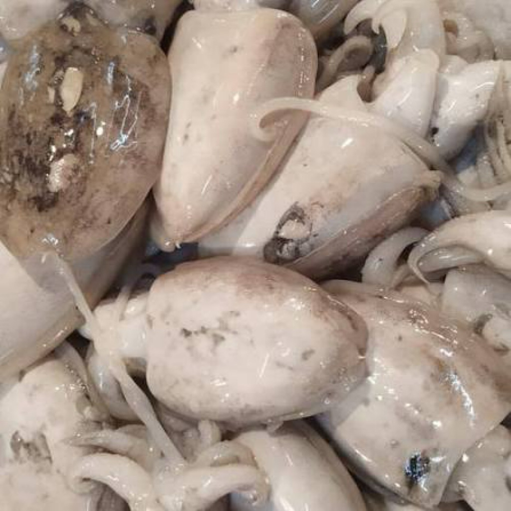 Balakutak 500 gr fresh Bandung