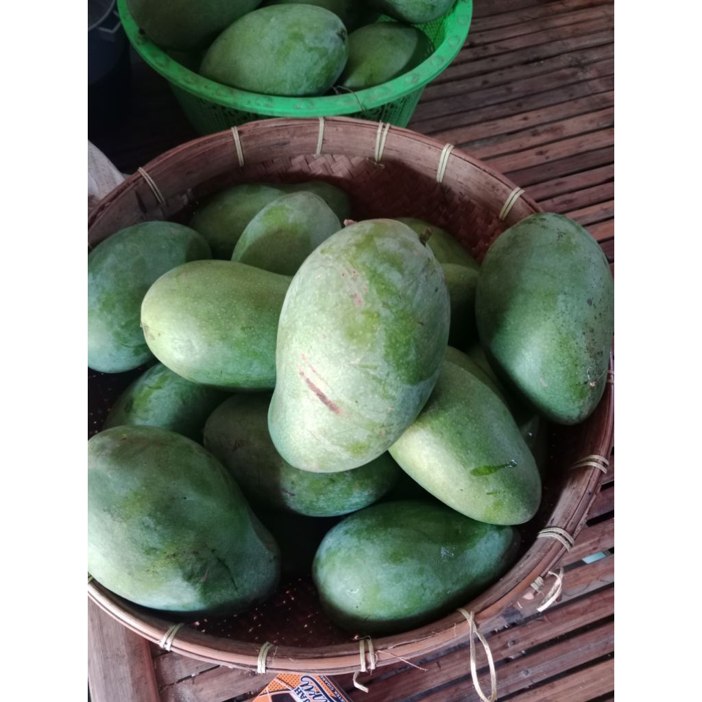mangga gadung matang 1 KG