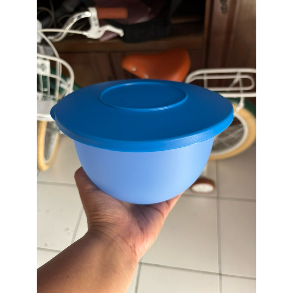 1 Pcs expression bowl small (1,3L) tupperware - bowl, mangkuk, bisa taruh lauk/sayur berkuah