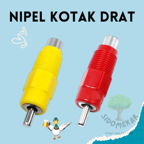 Nipel Drat kapsul nipel kotak nipel ayam kuning nipel ayam merah alat minum ayam
