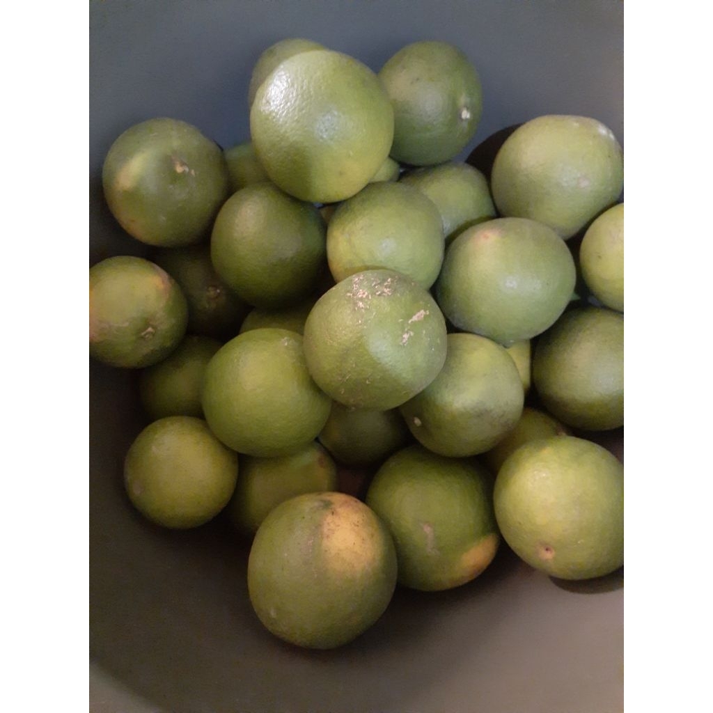 Jeruk Baby Java/jeruk manis/iris 1kg