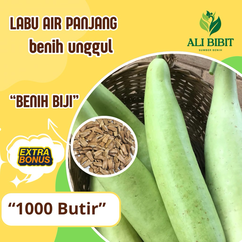 1000 Butir> Biji Benih Labu Air Panjang  /Labu Manisa > Bibit Labu Air> Bonus benih