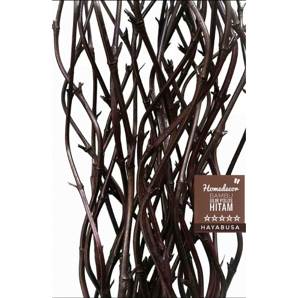 15 Btg Bambu Ulir Hitam Bambu Polos Murah 170cm Homedecor Perlengkapan Rumah Bunga Dekorasi