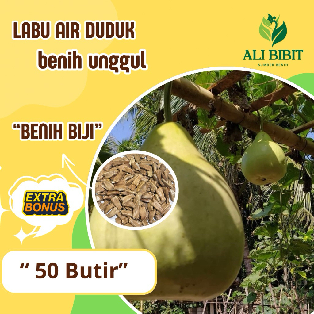 50 Butir> Biji Benih Labu Air Duduk /Labu Bulat> Bibit Labu Air> Bonus benih