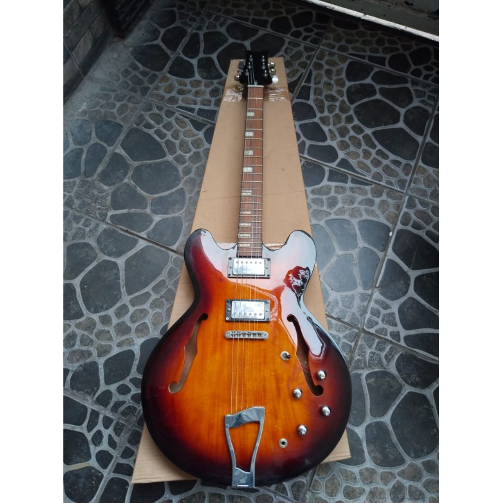 Gitar Hollow body