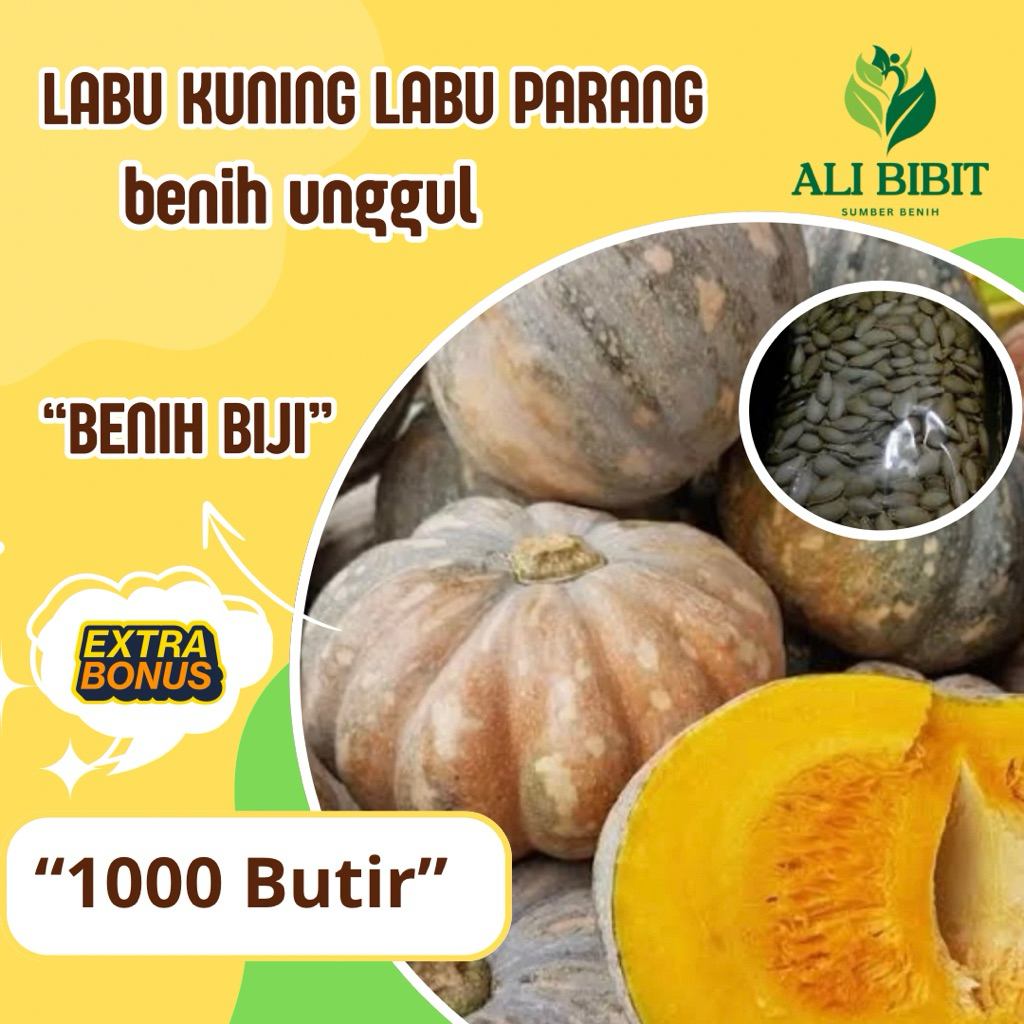 Butir> Biji Benih Labu Kuning> Bibit Labu  > Bonus benih