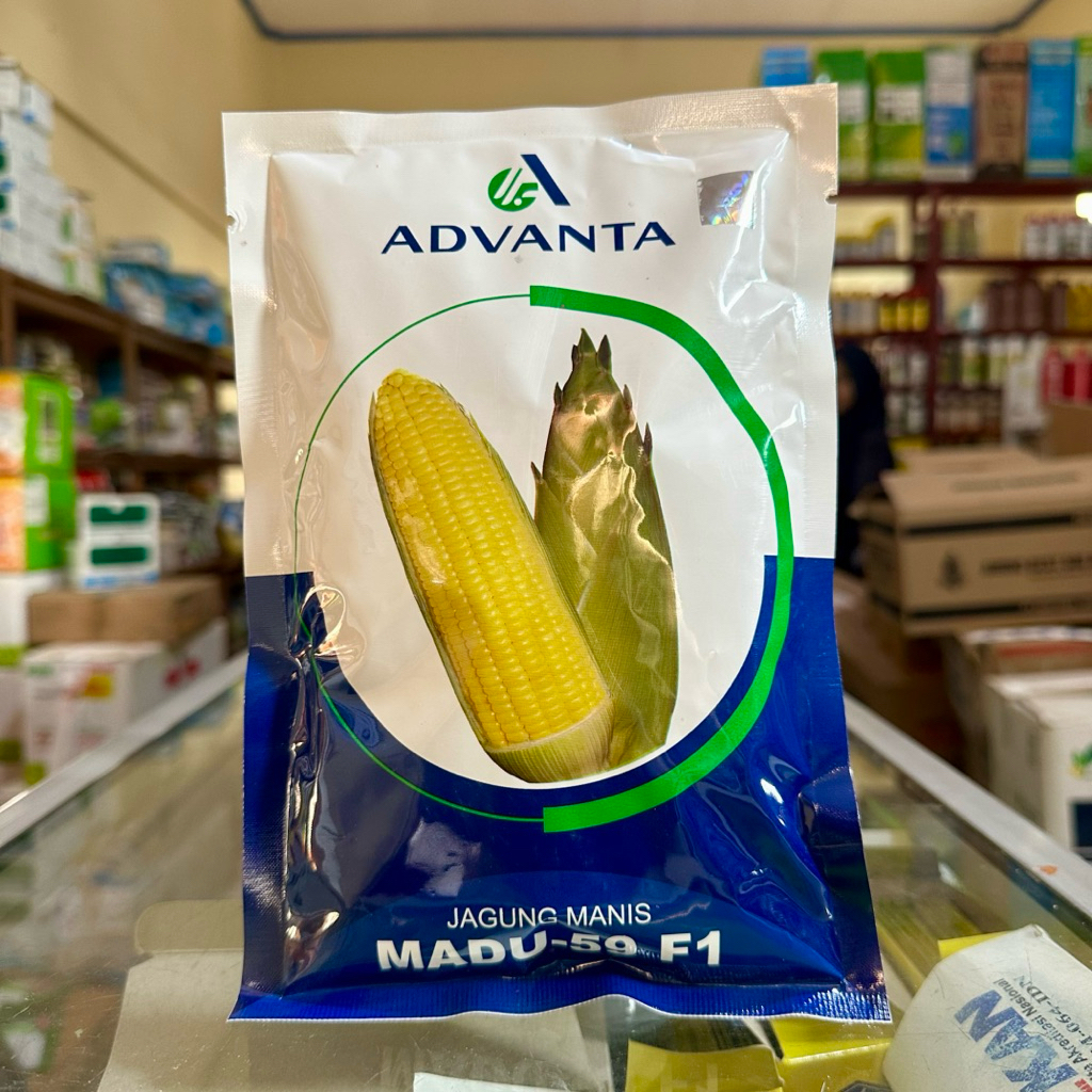 Benih Jagung Manis MADU 59 F1 250 Gram Advanta - Bibit Jagung Manis Madu Advanta