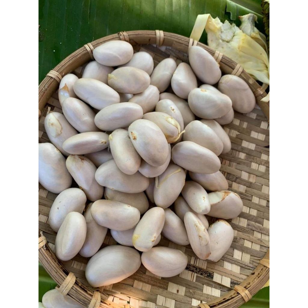 biji nangka segar 1kg