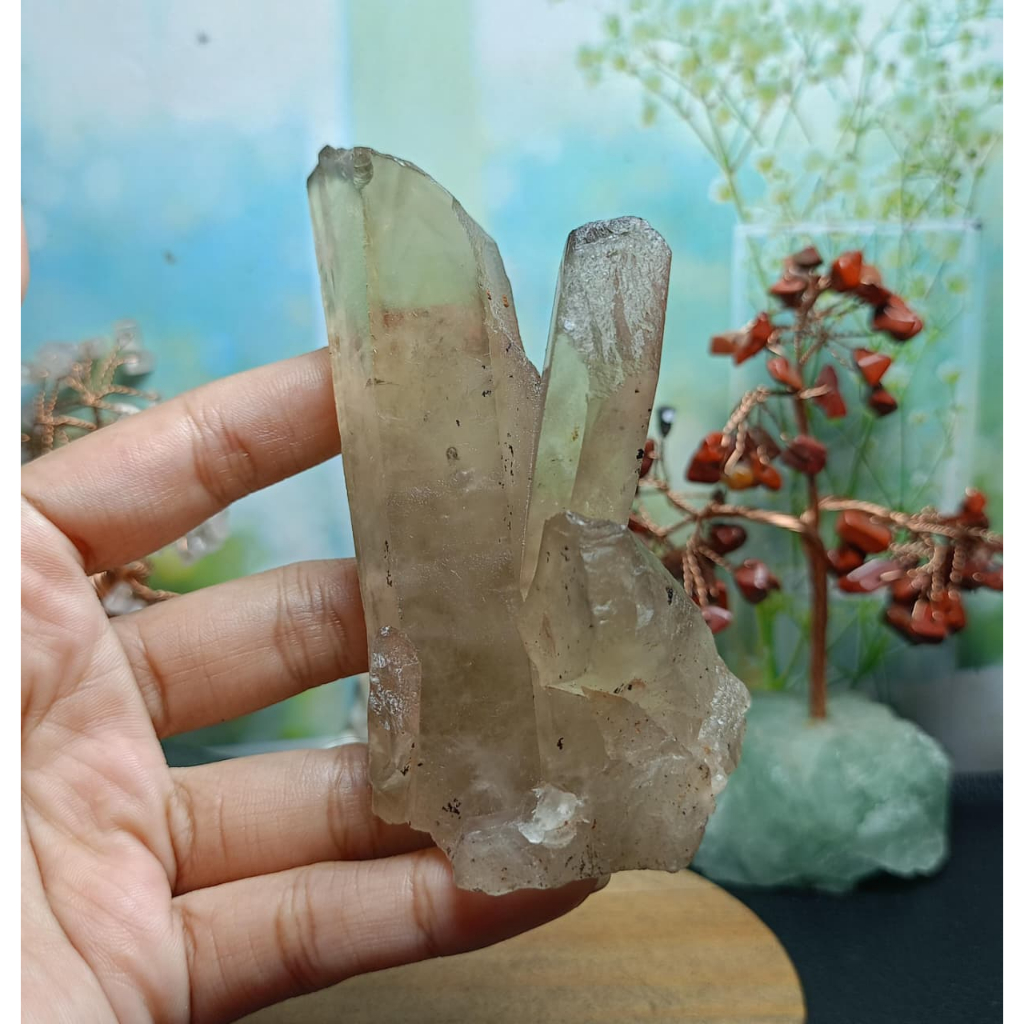 Natural Citrine Pointer Rough (4)