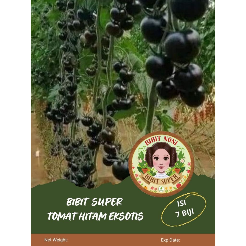 Bibit Super Tomat Hitam Eksotis | Biji Benih Tomat Hitam
