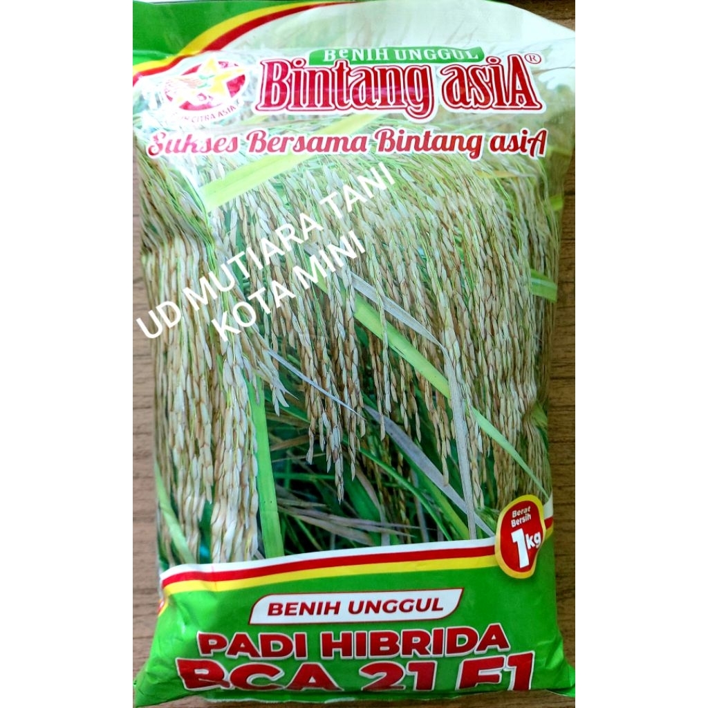 BENIH PADI HIBRIDA BCA 21 F1 KEMASAN 1 KG
