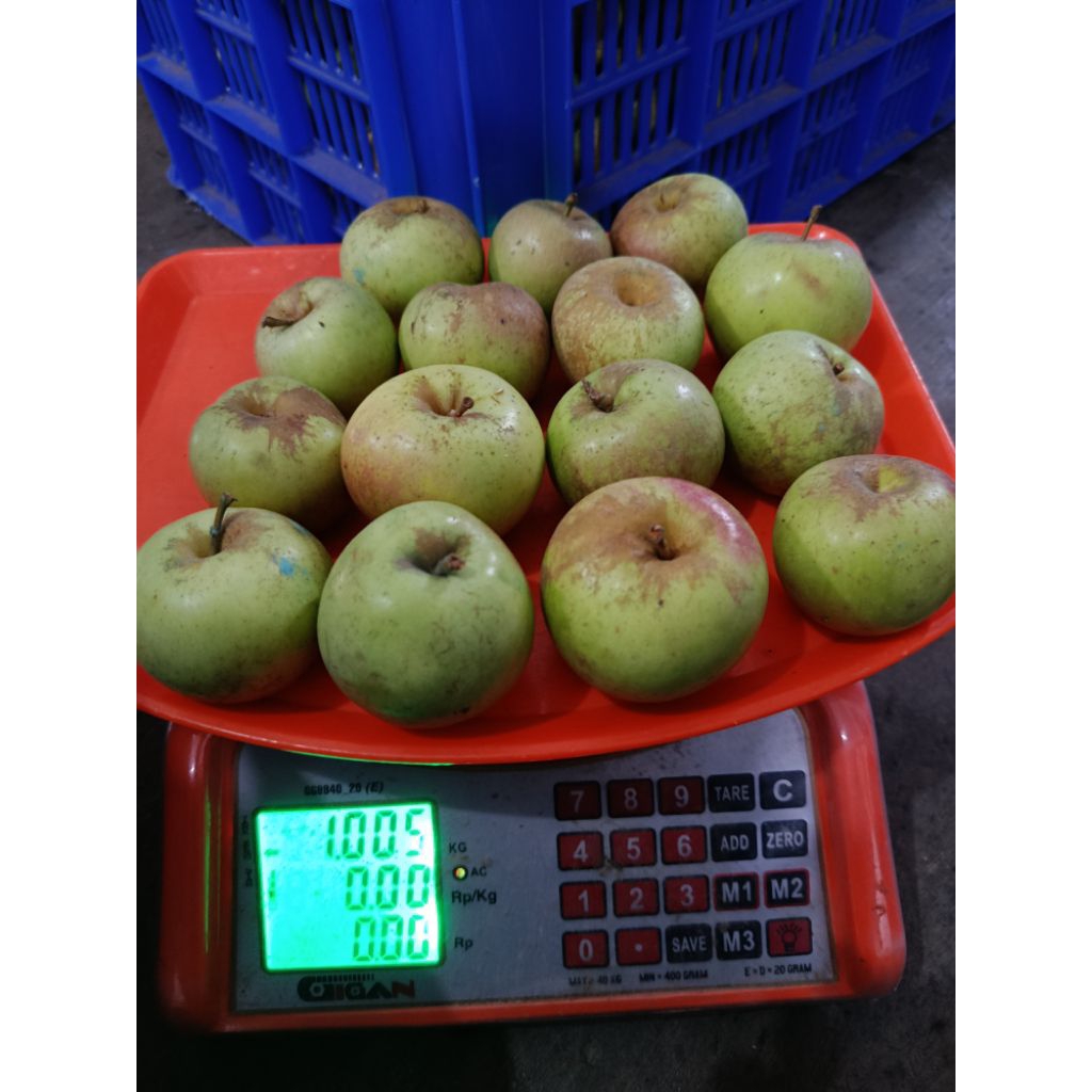 Apel Manalagi 1kg isi 12-17