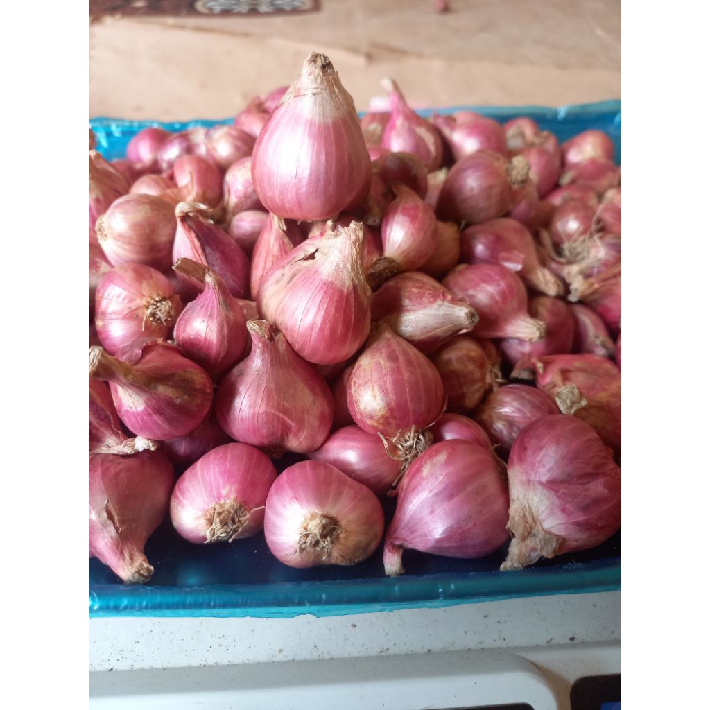 Bawang Merah Brebes Besar-Tanggung 1 kg