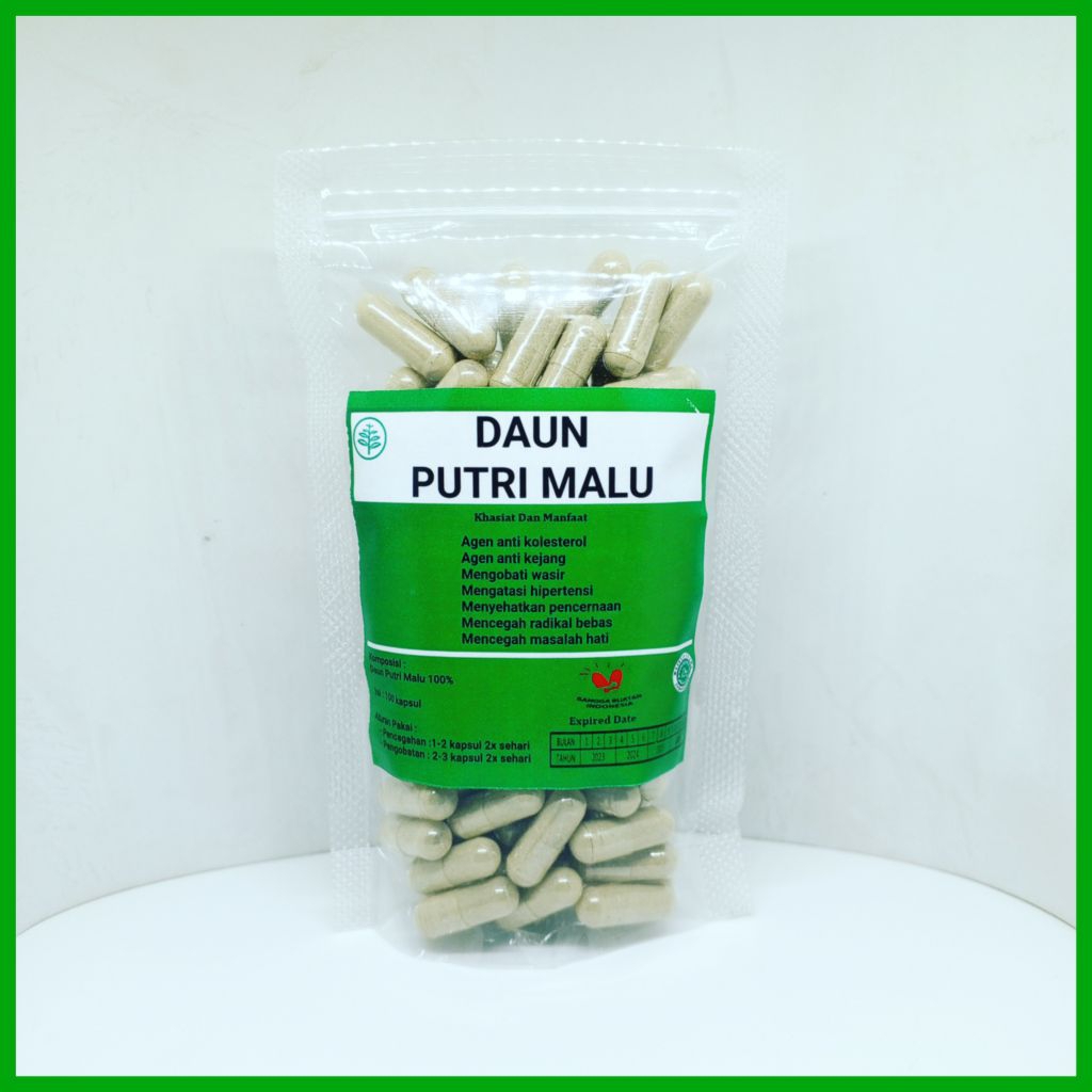 kapsul daun putri malu isi 100