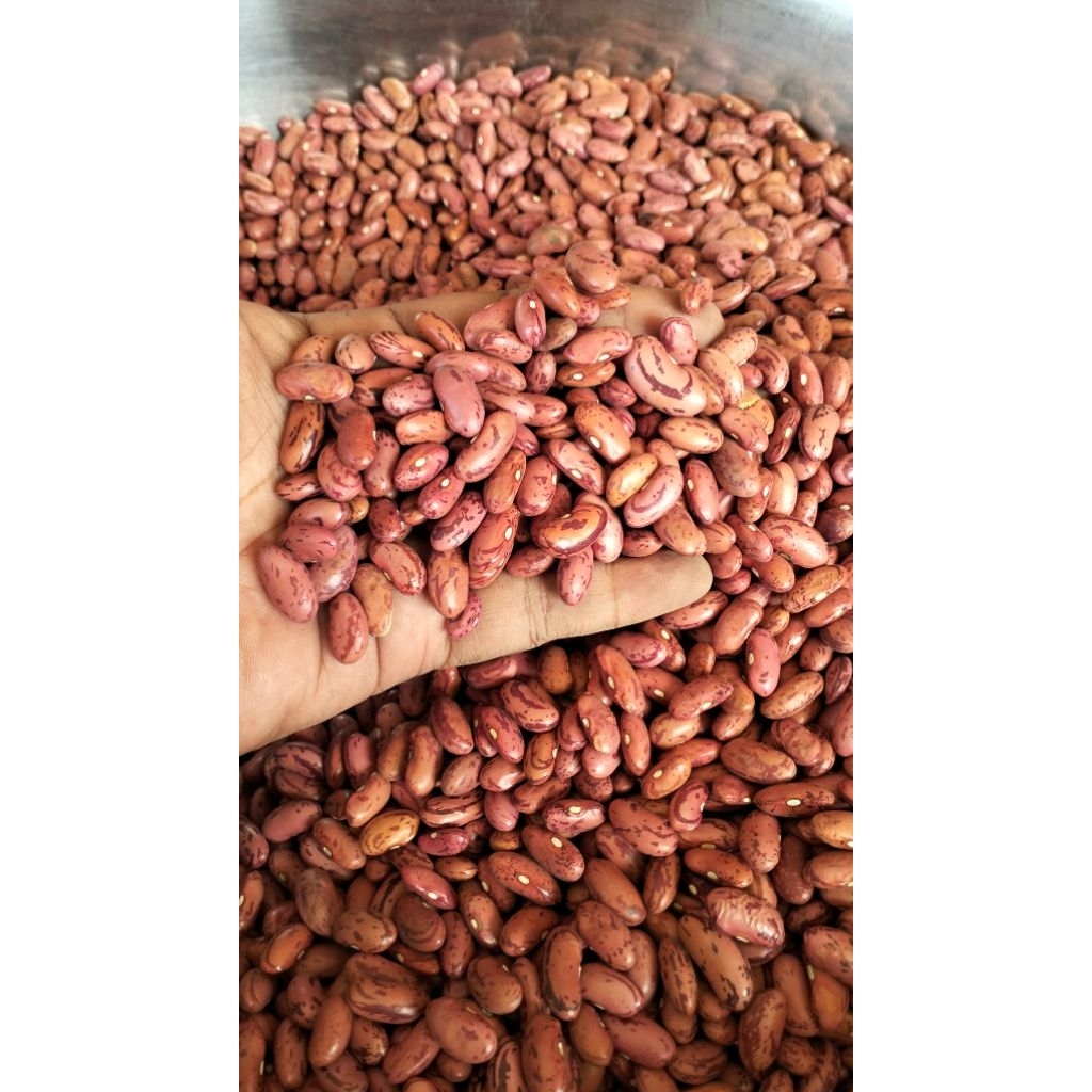 KACANG MERAH 1kg