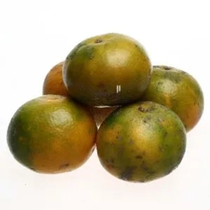 Jeruk Kunci 1Kg