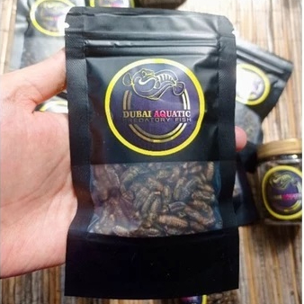 Jangkrik Kering Ekstra Spilurina By Dubai Aquatic / Jangkrik Kering