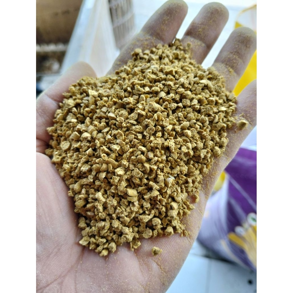 Pur Buras Pakan Ayam Pedaging, Bebek Pedaging Berkualitas