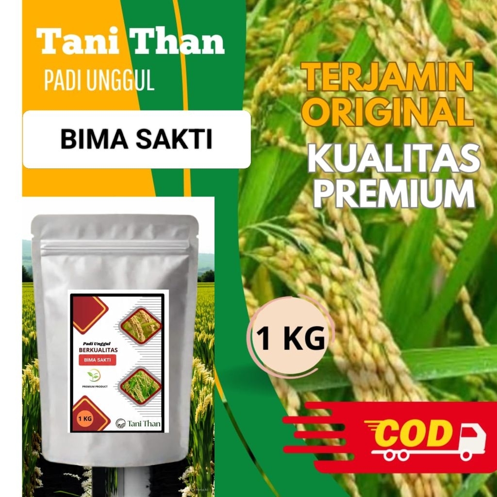 Benih padi Bima Sakti Kemasan 1kg