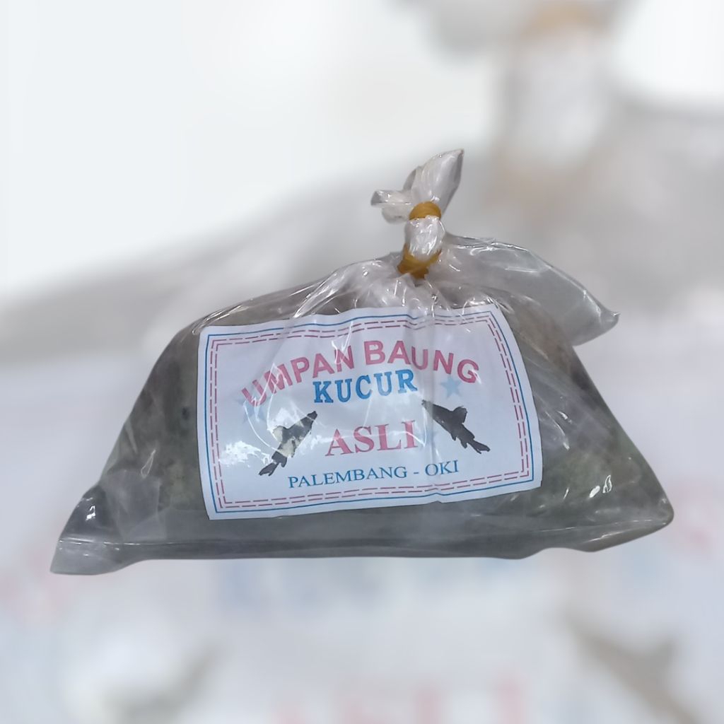 Umpan Baung Kucur Asli Palembang - OKI