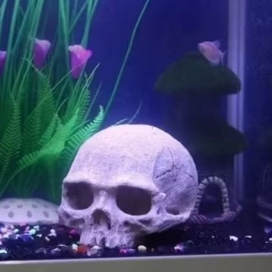Hiasan Aquarium/Ornamen Tengkorak/bahan resin/tenggelam