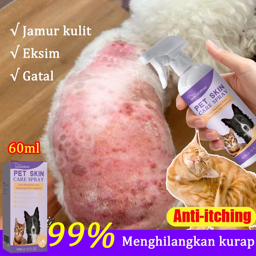 obat jamur kucing spray jamur kucing scabies kucing ampuh obat scabies kelinci obat jamur anjing oba