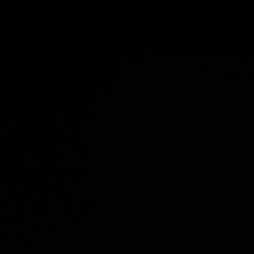 Raket Sewa sekali main