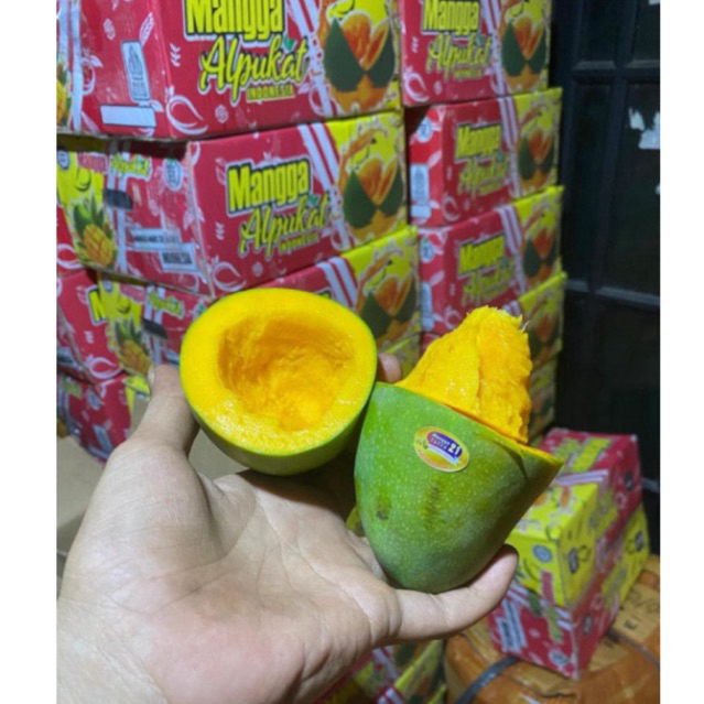 MANGGA ALPUKAT 1 DUS BERAT 5KG