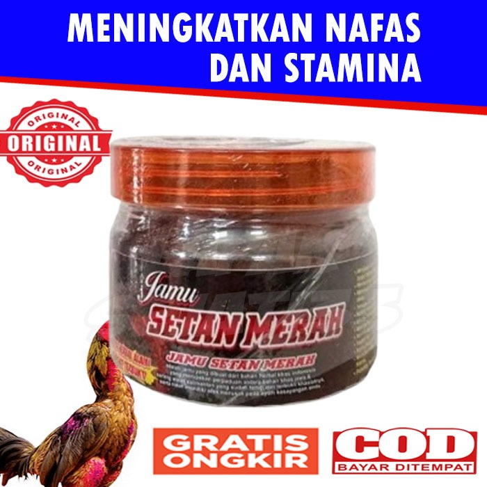 JAMU SETAN MERAH Toples Untuk Ayam Bangkok Aduan Petarung Menambah Agresif Isi 110 Butir