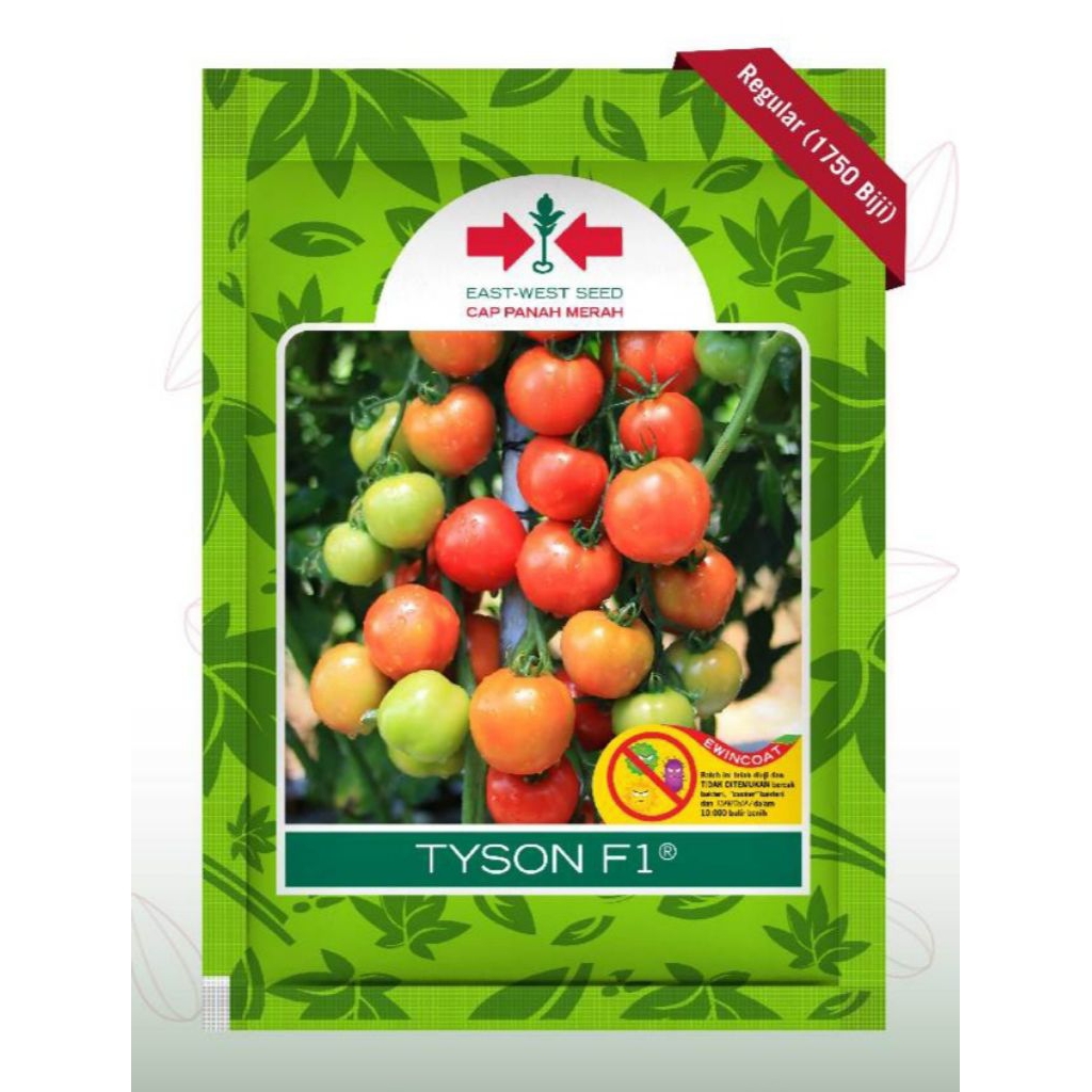 Benih Tomat Hibrida TYSON F1 Kemasan Reguler Original Cap Panah Merah Isi 1750 Butir